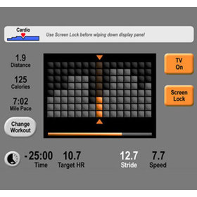 User interface with exercise progress graphic