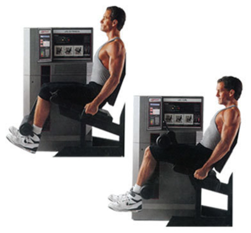 Image demonstrating leg exercises on the life circuit